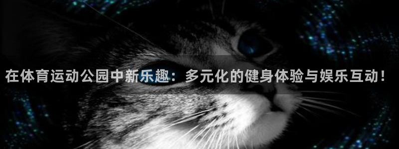 77体育app下载官网：在体育运动公园中新乐趣：多元化的健身体验与娱乐互动！