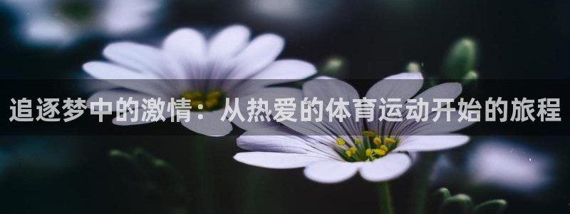 77体育官网：追逐梦中的激情：从热爱的体育运动开始的旅程