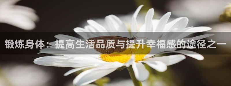77体育：锻炼身体：提高生活品质与提升幸福感的途径之一