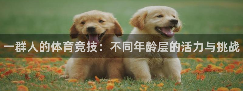 77体育：一群人的体育竞技：不同年龄层的活力与挑战