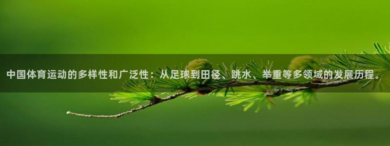77体育：中国体育运动的多样性和广泛性：从足球到田径、跳水、举重等多领域的发展历程。