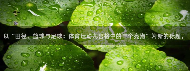 77体育官网：以“田径、篮球与足球：体育运动九宫格中的三个亮点”为新的标题。