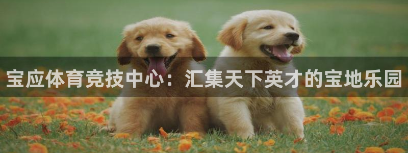77体育官网：宝应体育竞技中心：汇集天下英才的宝地乐园
