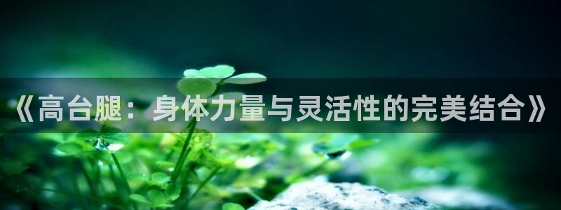 77体育：《高台腿：身体力量与灵活性的完美结合》