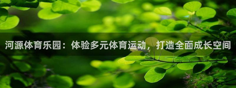 77体育：河源体育乐园：体验多元体育运动，打造全面成长空间