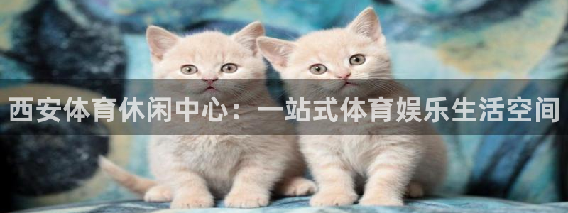 77体育app下载官网：西安体育休闲中心：一站式体育娱乐生活空间