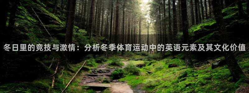 77体育官网：冬日里的竞技与激情：分析冬季体育运动中的英语元素及其文化价值