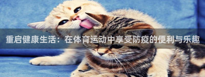 皇冠277体育：重启健康生活：在体育运动中享受防疫的便利与乐趣
