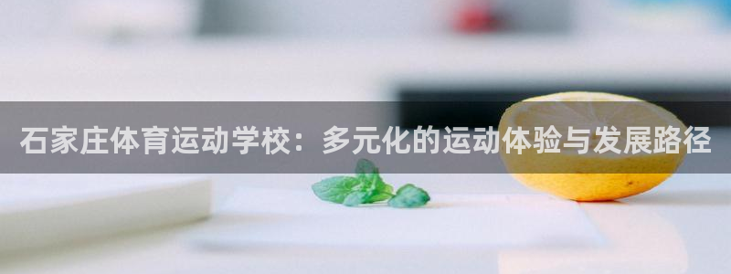 77体育：石家庄体育运动学校：多元化的运动体验与发展路径