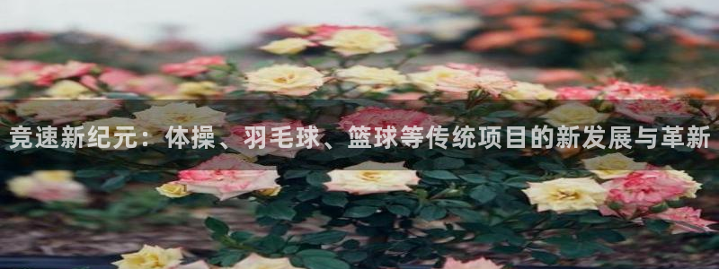 皇冠277体育：竞速新纪元：体操、羽毛球、篮球等传统项目的新发展与革新