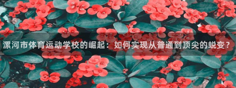 77体育：漯河市体育运动学校的崛起：如何实现从普通到顶尖的蜕变？