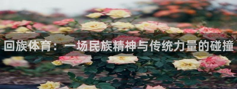 皇冠277体育：回族体育：一场民族精神与传统力量的碰撞