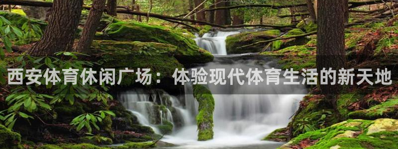77体育：西安体育休闲广场：体验现代体育生活的新天地